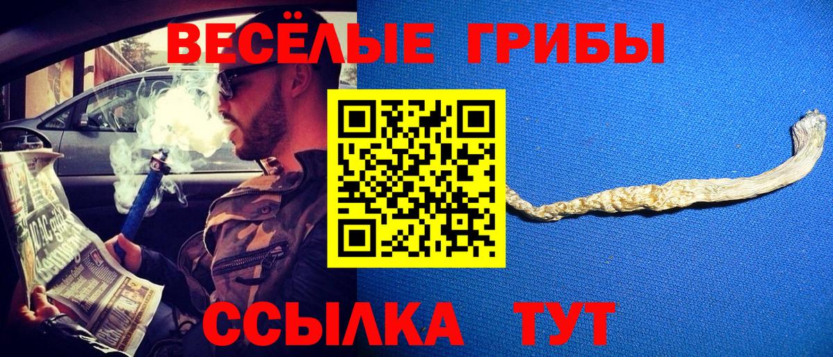 Выкса  Галлюциногенные грибы Psilocybine cubensis  Вход с VPN  Псилоцибиновые грибы ЛСД 