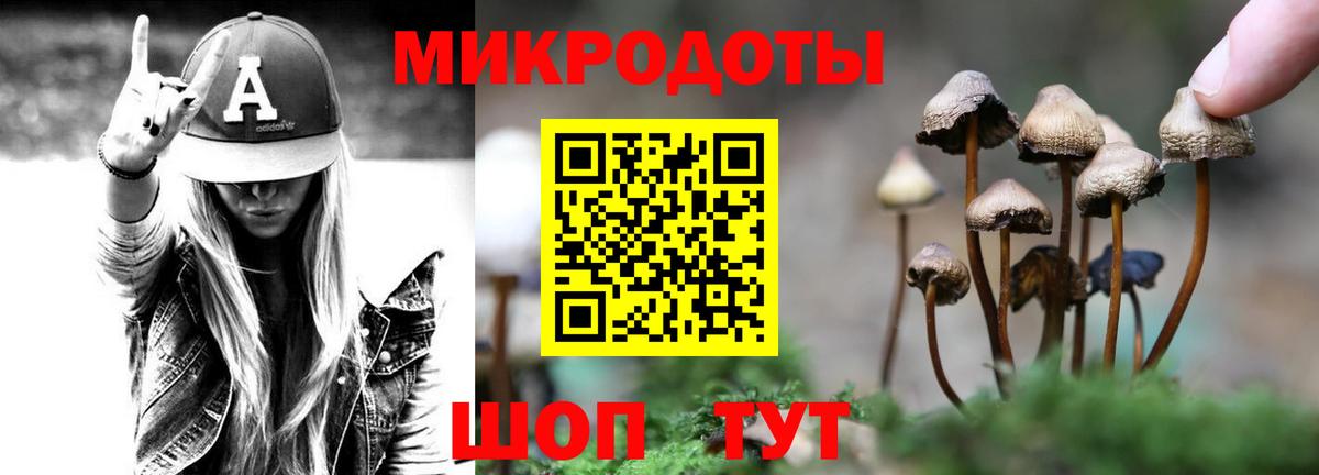 Галлюциногенные грибы мицелий Выкса